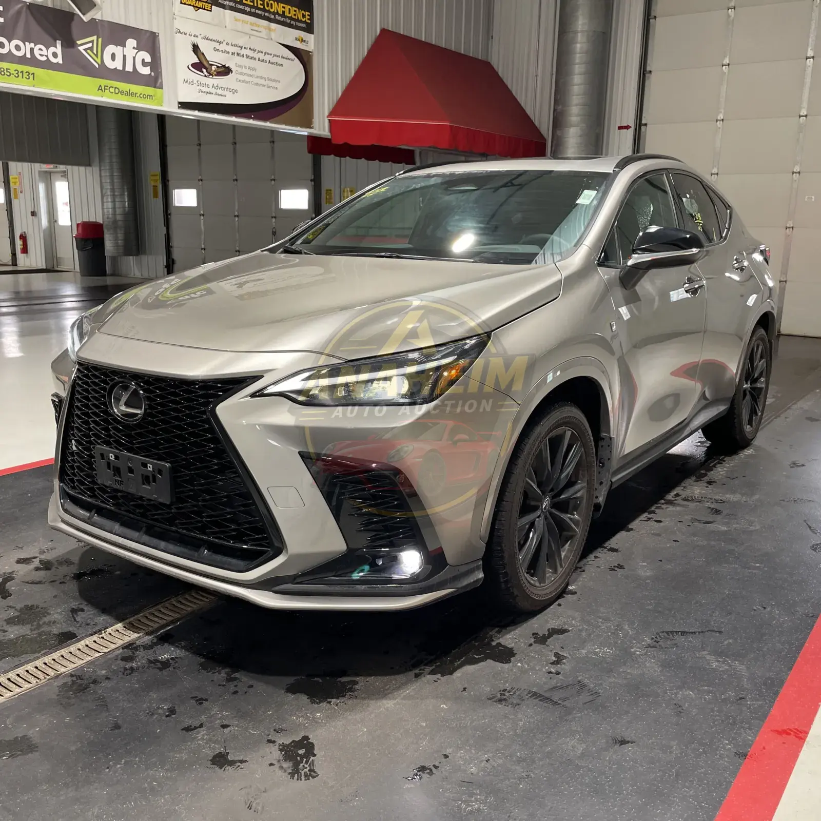 2025 Lexus NX-Series NX350 F Sport 1
