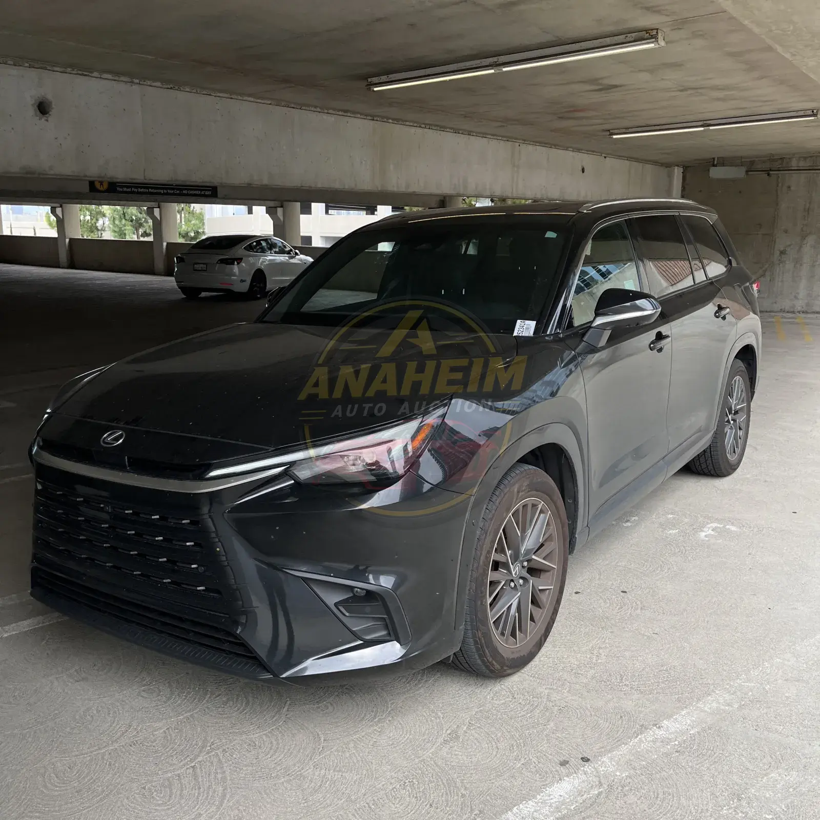 2024 Lexus TX 350 Premium