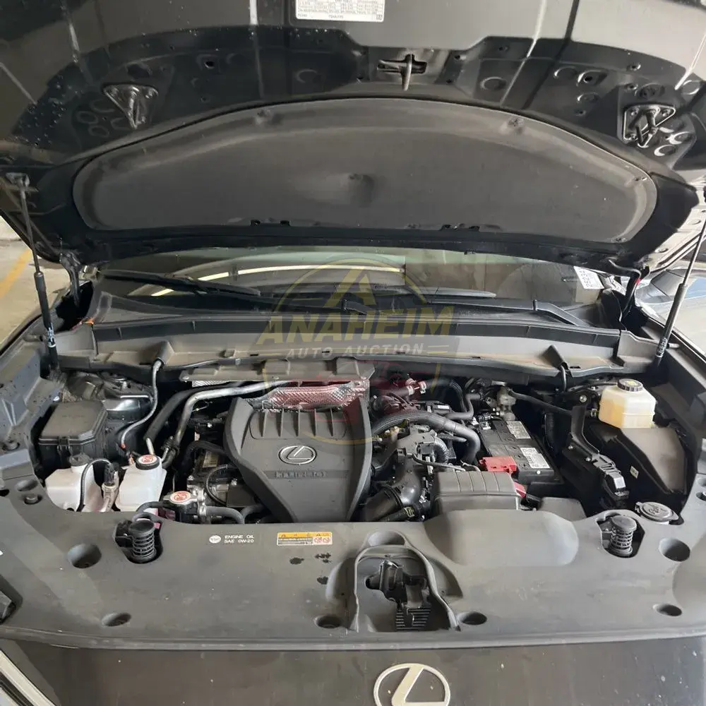 2024 Lexus TX 350 Premium