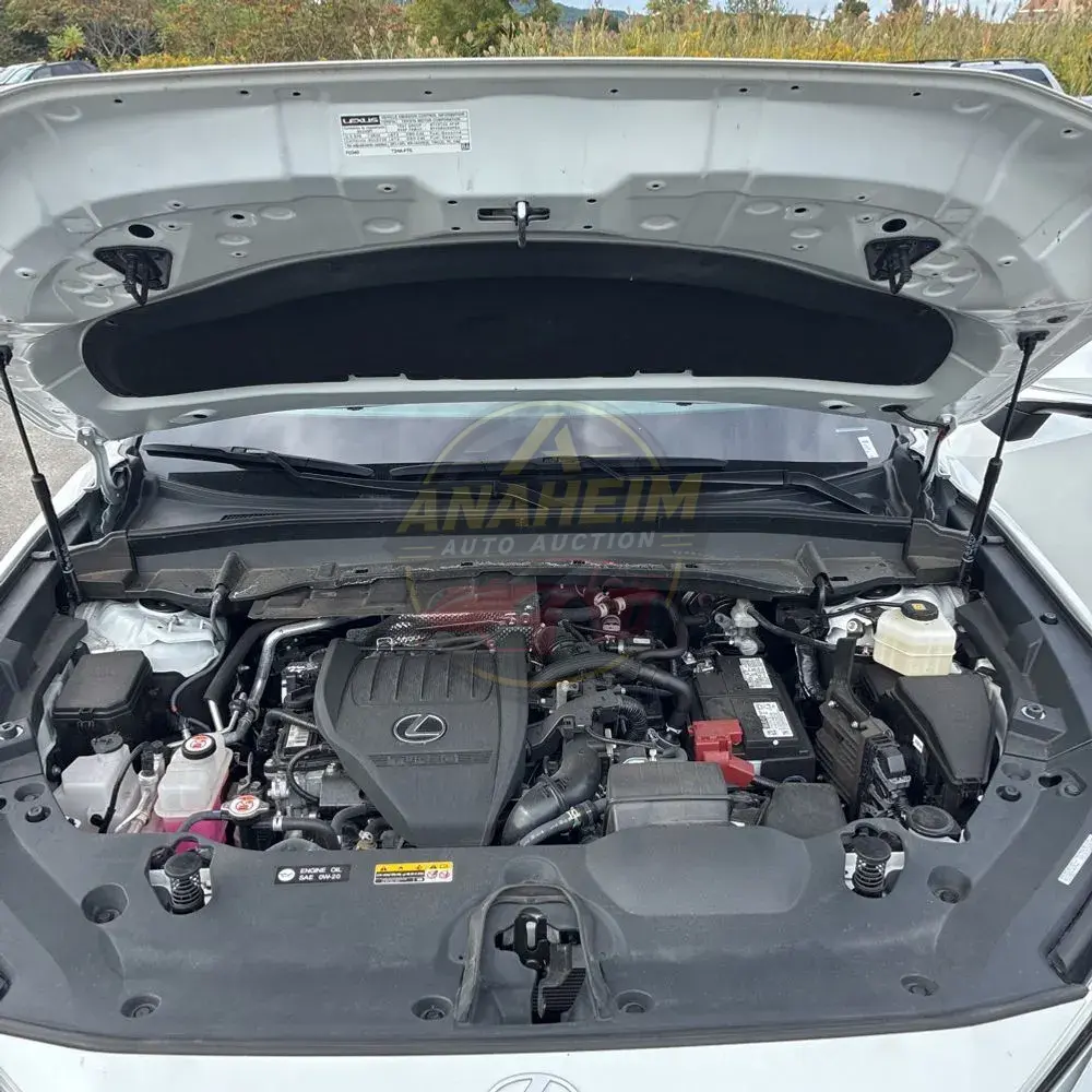 2024 Lexus TX 350 Premium