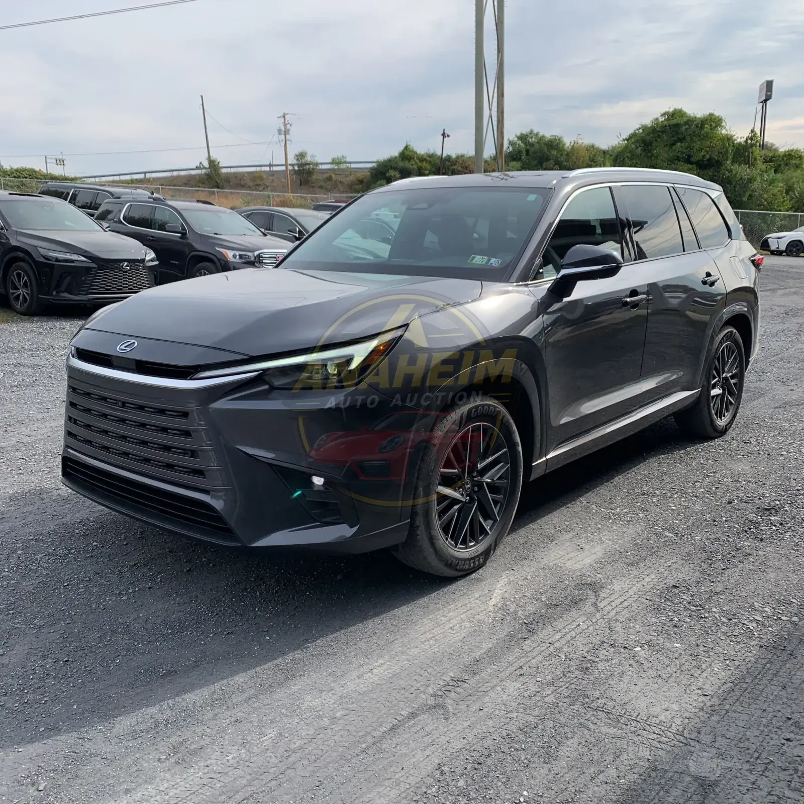 2024 Lexus TX 350 Premium