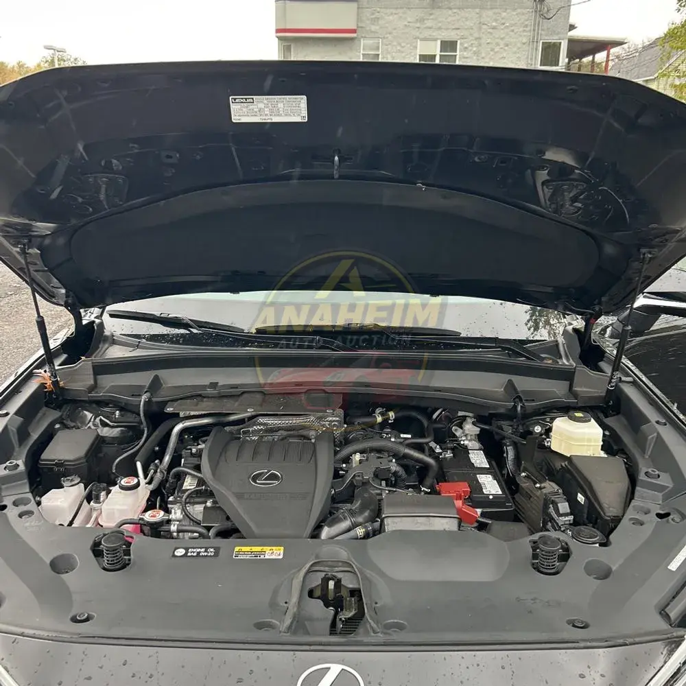 2024 Lexus TX 350 Premium