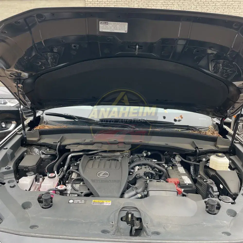 2024 Lexus TX 350 Premium