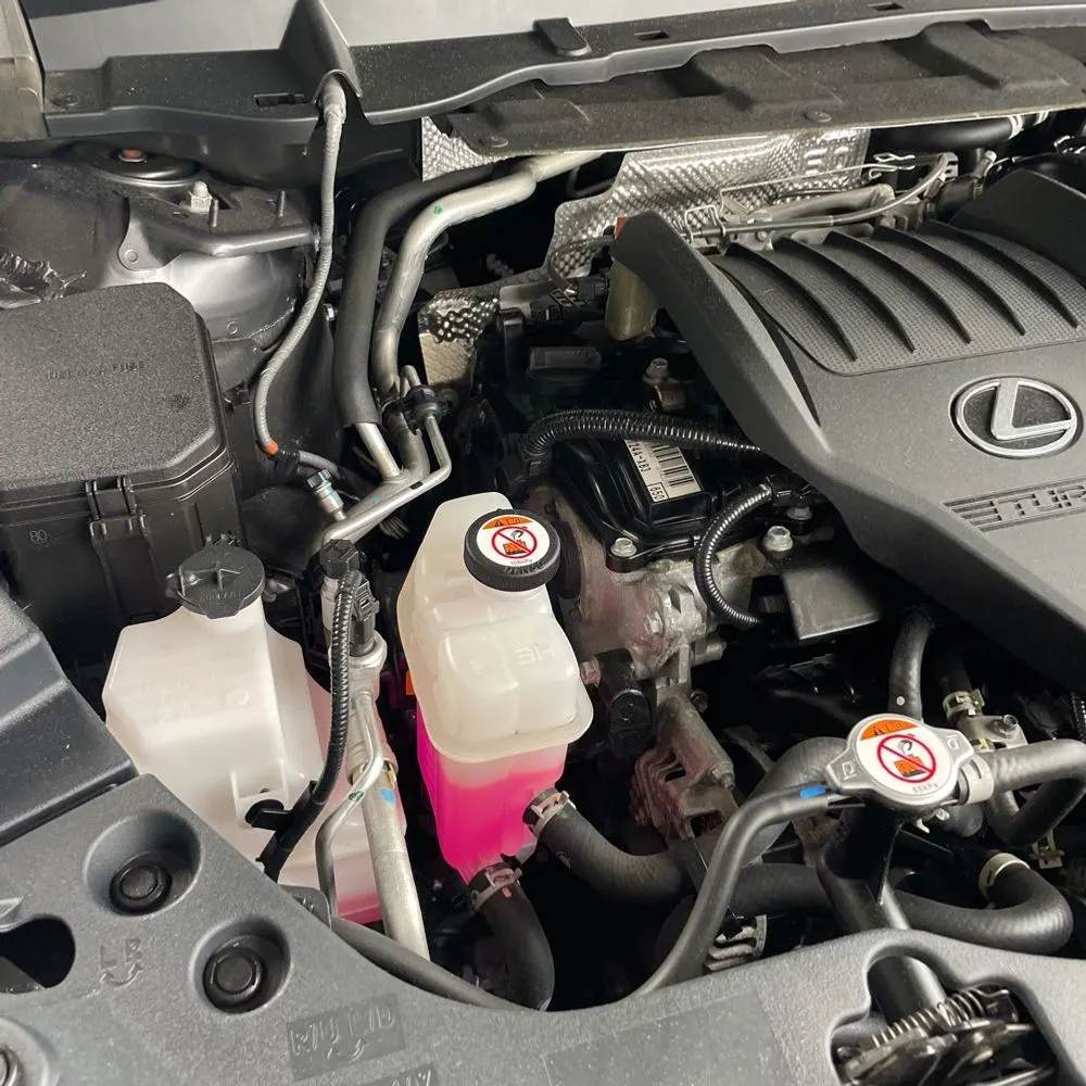 2024 Lexus TX 350 Premium