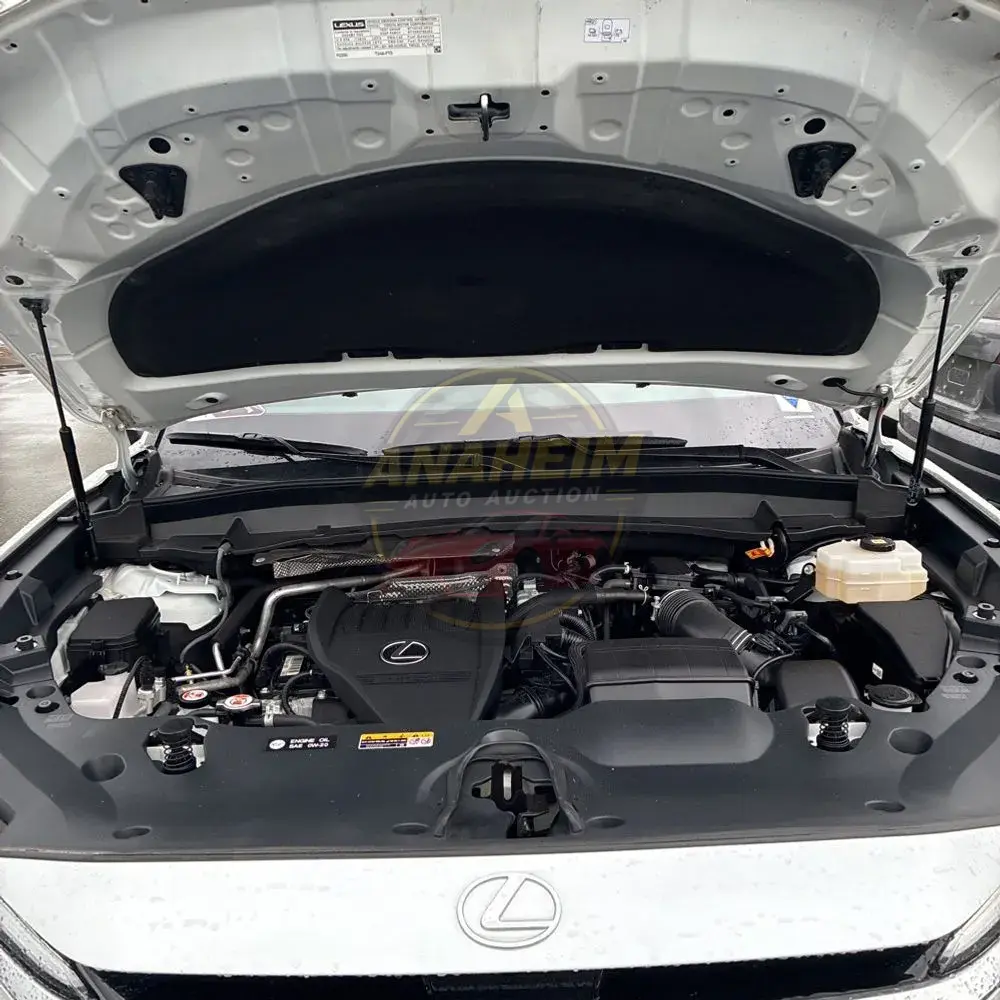 2024 Lexus TX 500h F SPORT Performance Luxury
