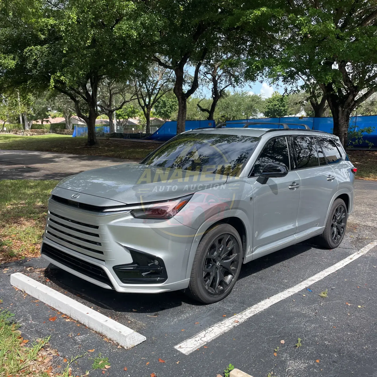 2025 Lexus TX 500h F SPORT  Premium