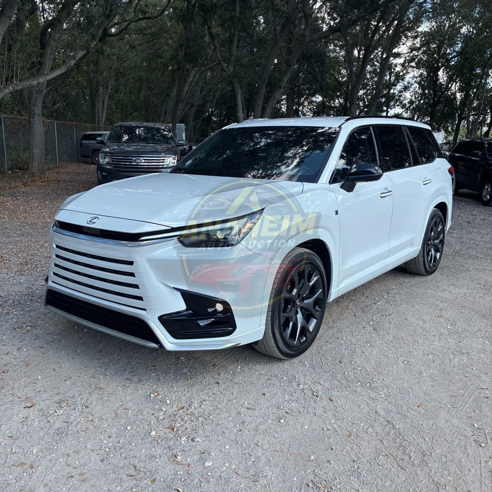 2025 Lexus TX 500h F SPORT Performance Premium