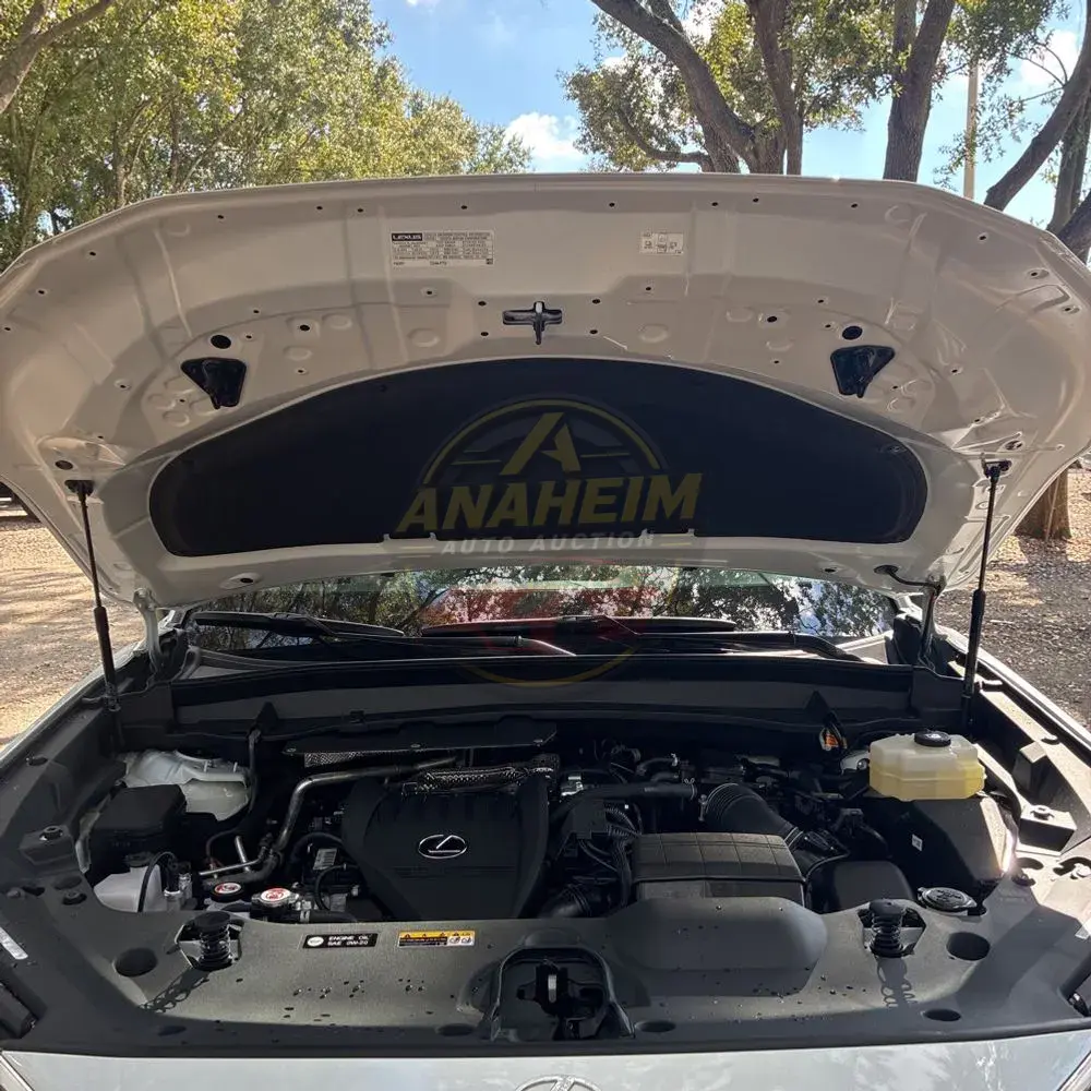 2025 Lexus TX 500h F SPORT Performance Premium