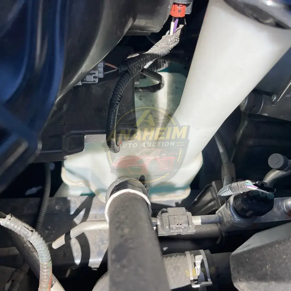 2019 Toyota Sienna SE 8-Passenger