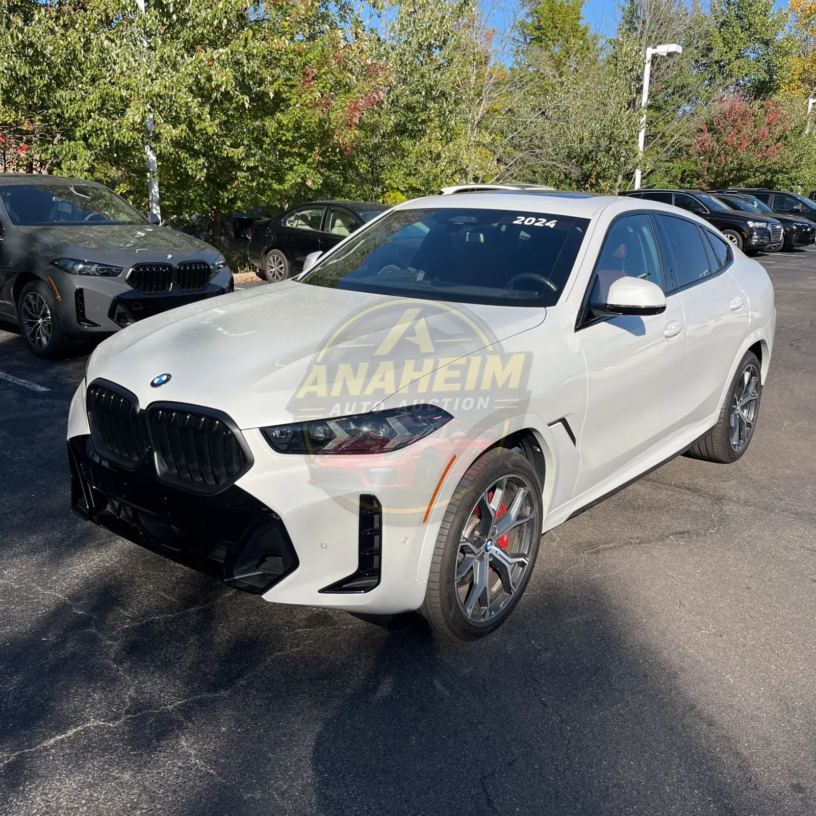 2024 BMW X6 XDrive40i