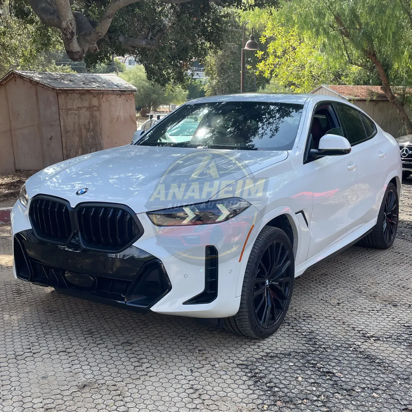 2024 BMW X6 XDrive40i