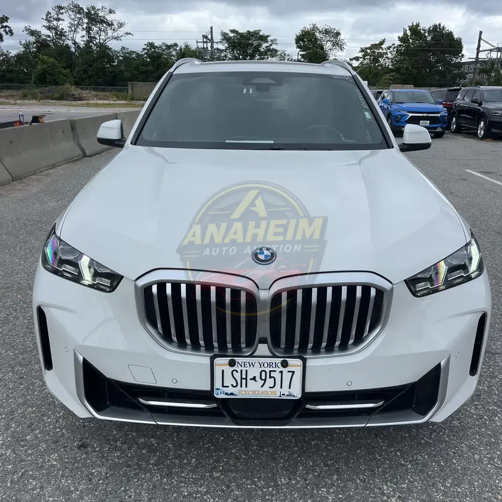 2025 BMW X5 xDrive50e