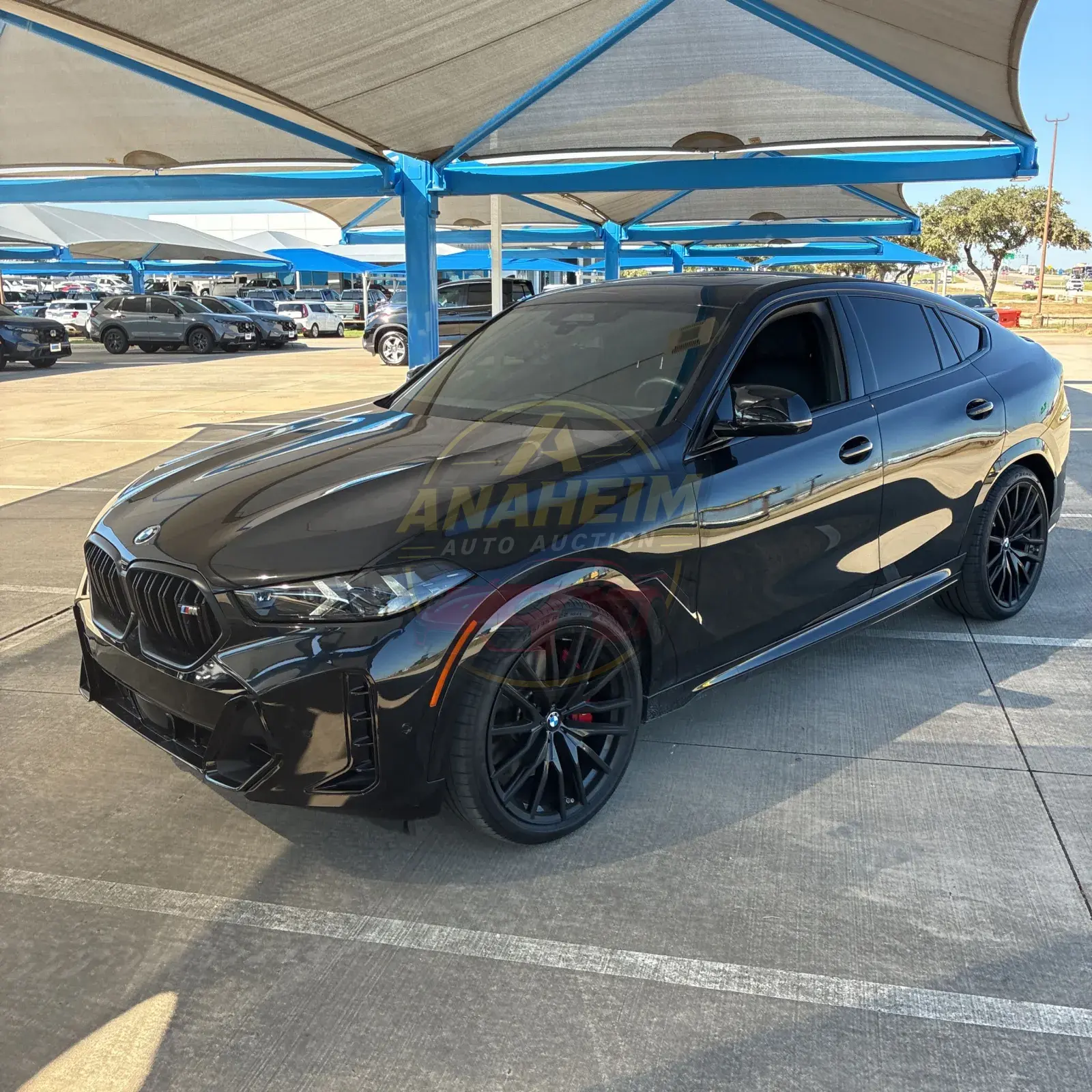 2025 BMW X6 M60i xDrive