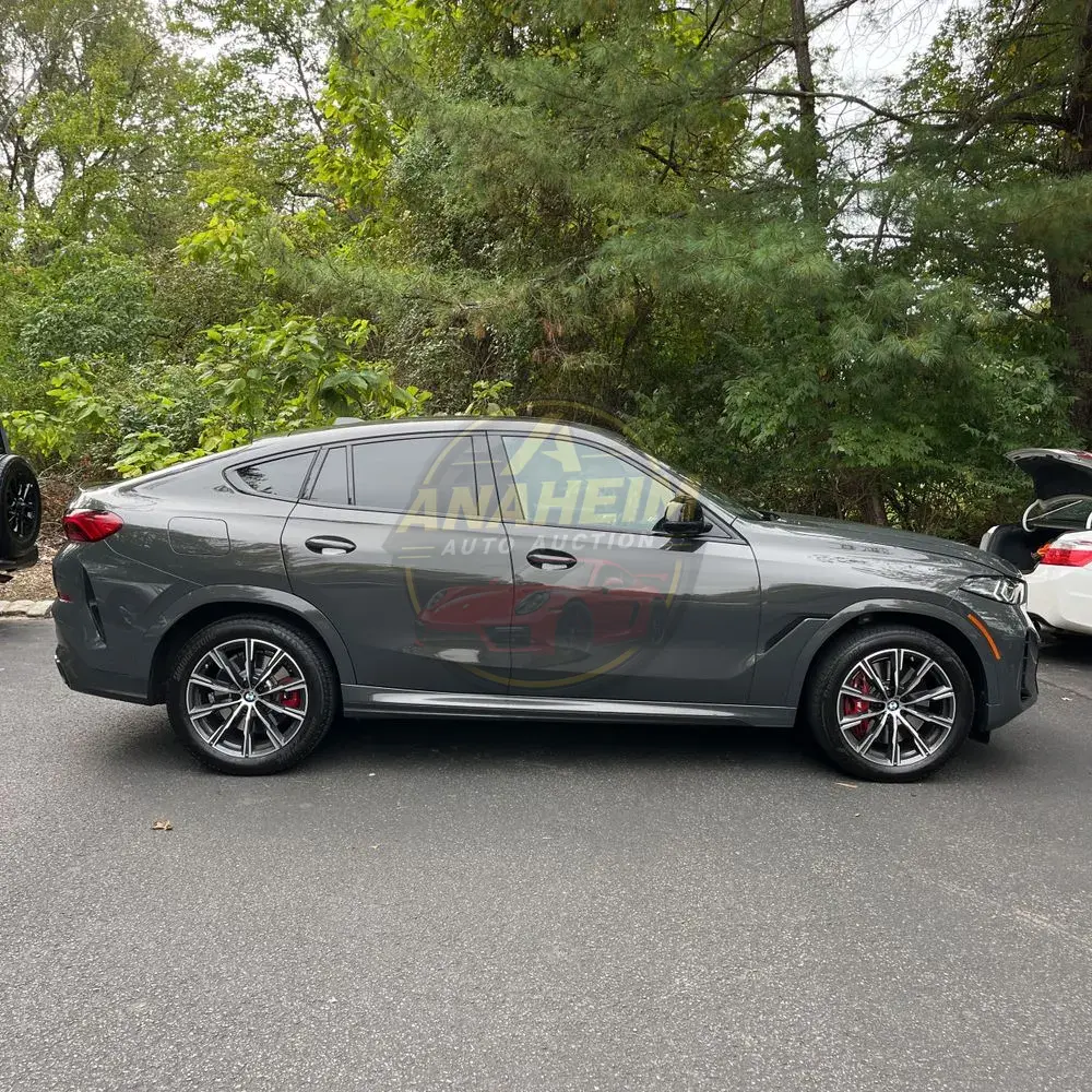 2024 BMW X6 M60i