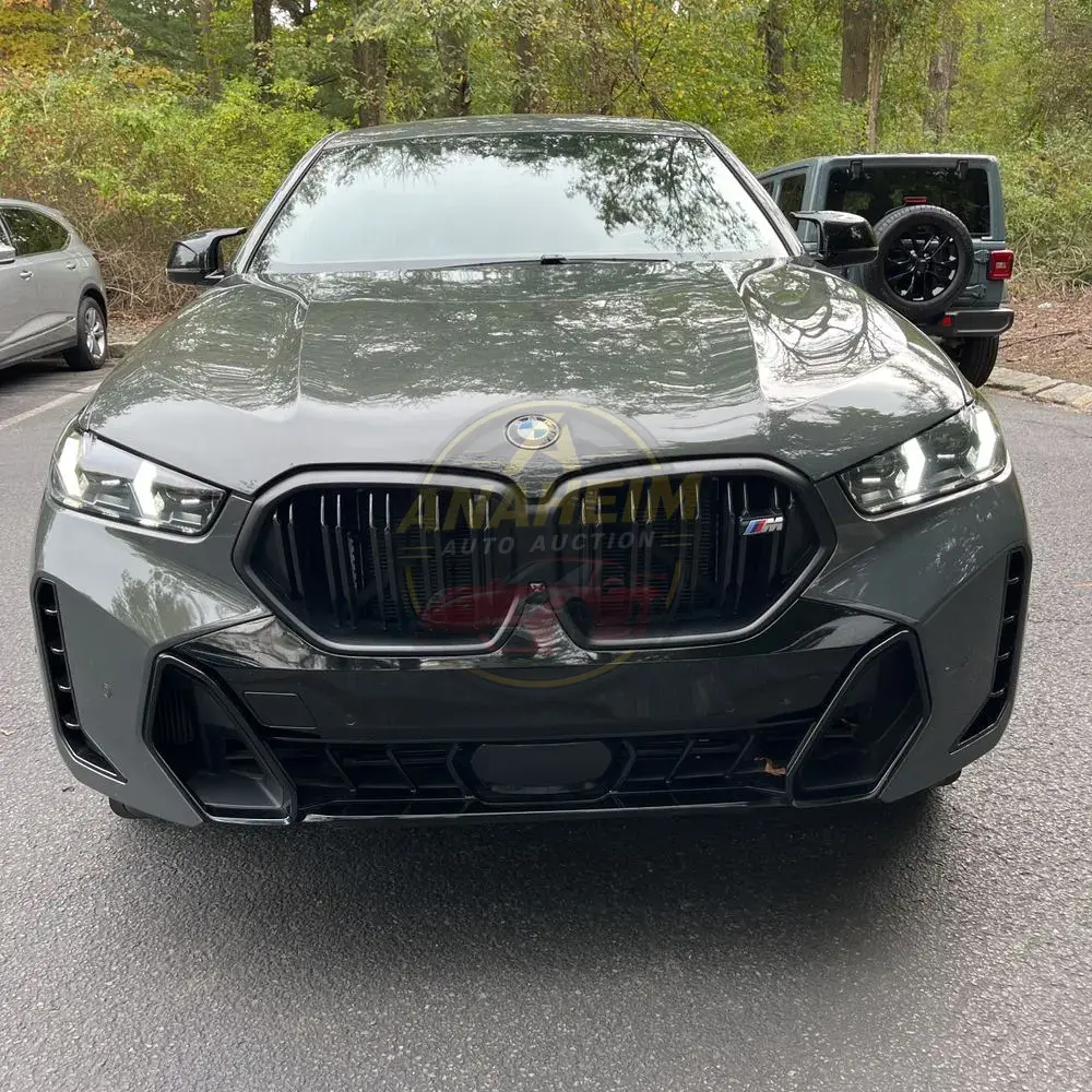 2024 BMW X6 M60i