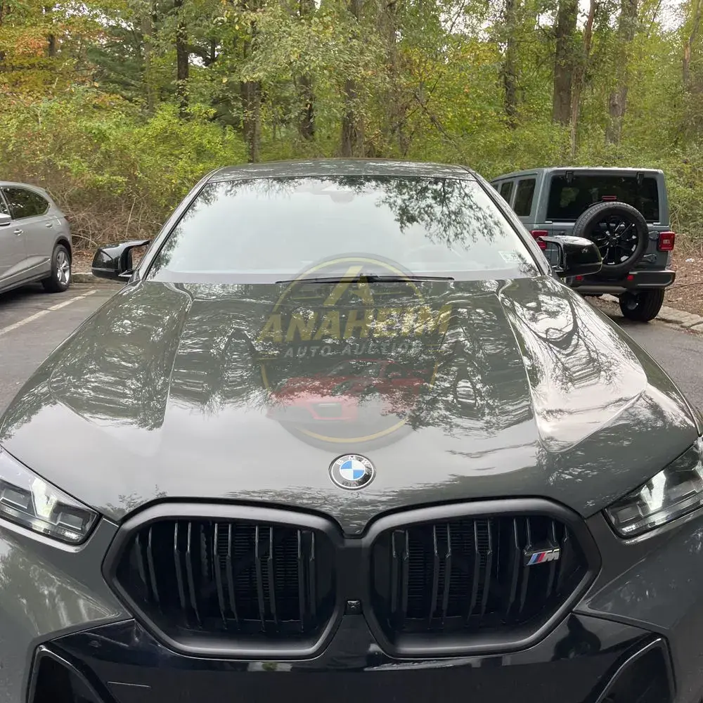 2024 BMW X6 M60i