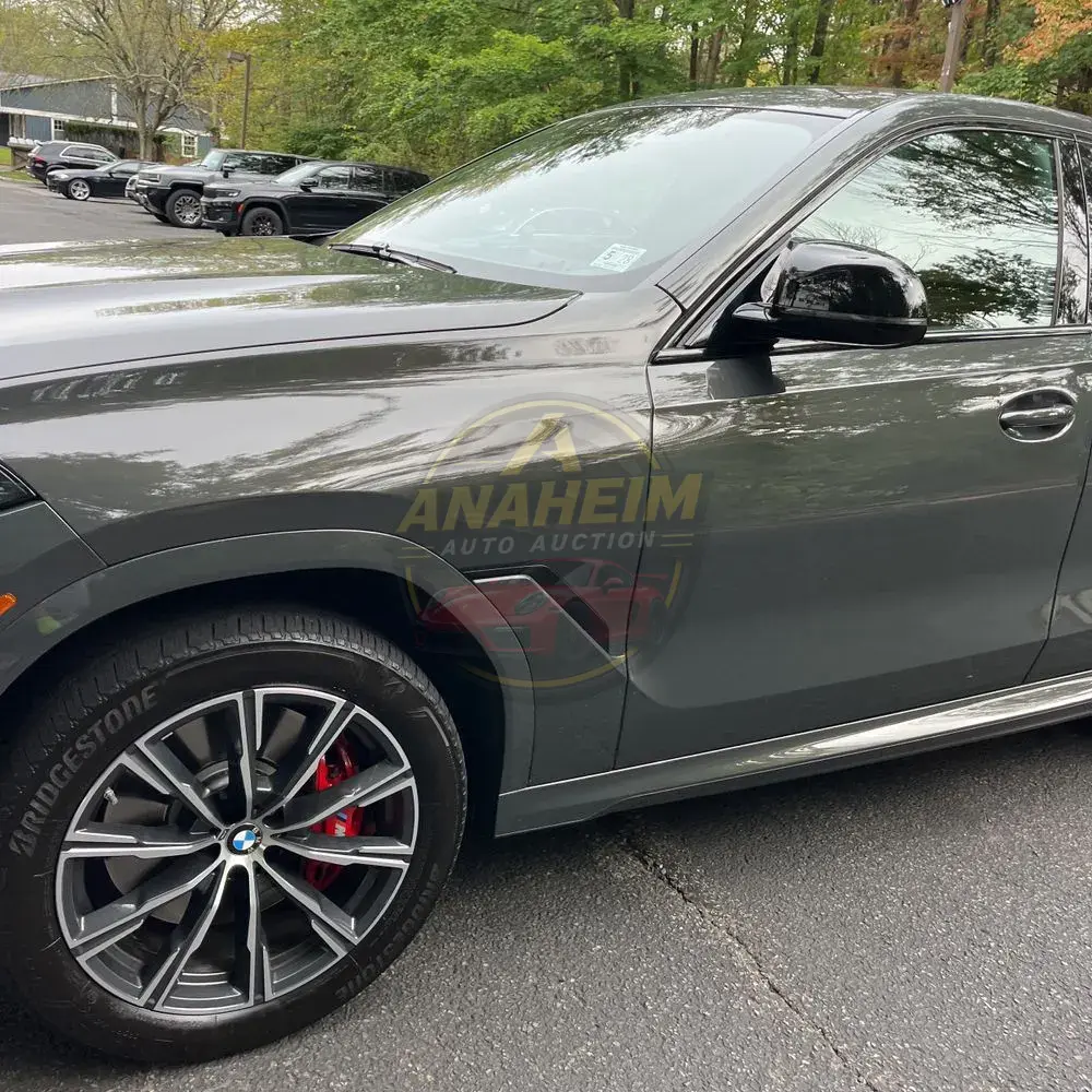 2024 BMW X6 M60i