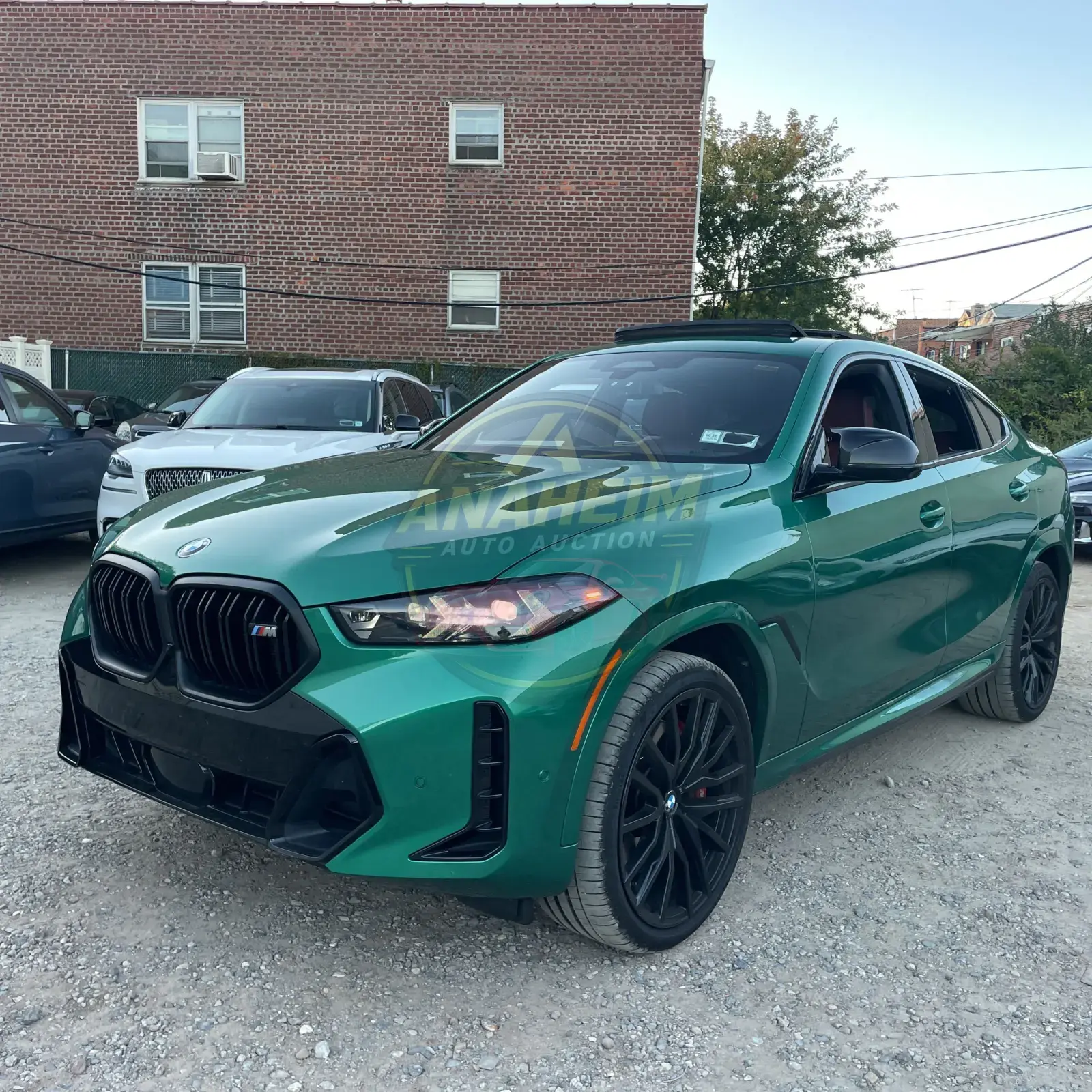 2024 BMW X6 M60i