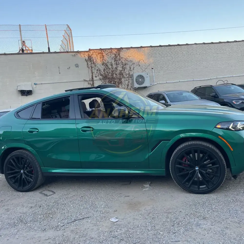 2024 BMW X6 M60i