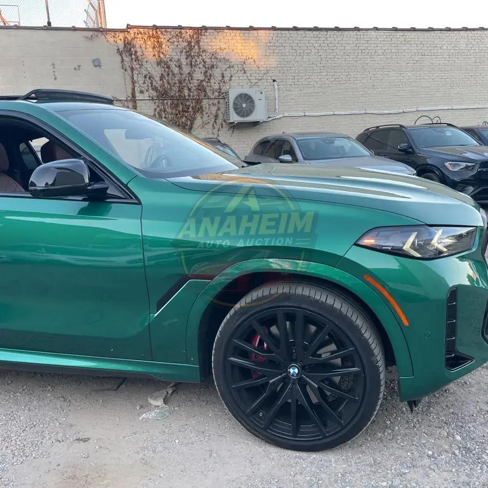 2024 BMW X6 M60i
