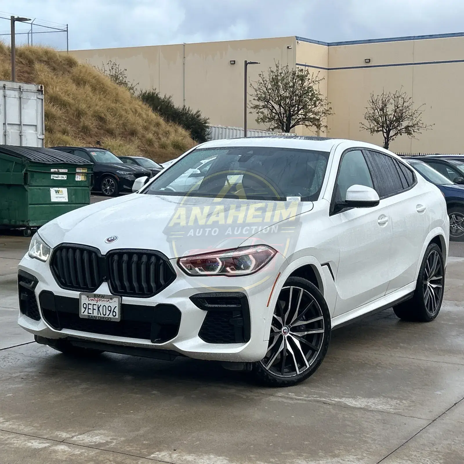 2023 BMW X6 M50i