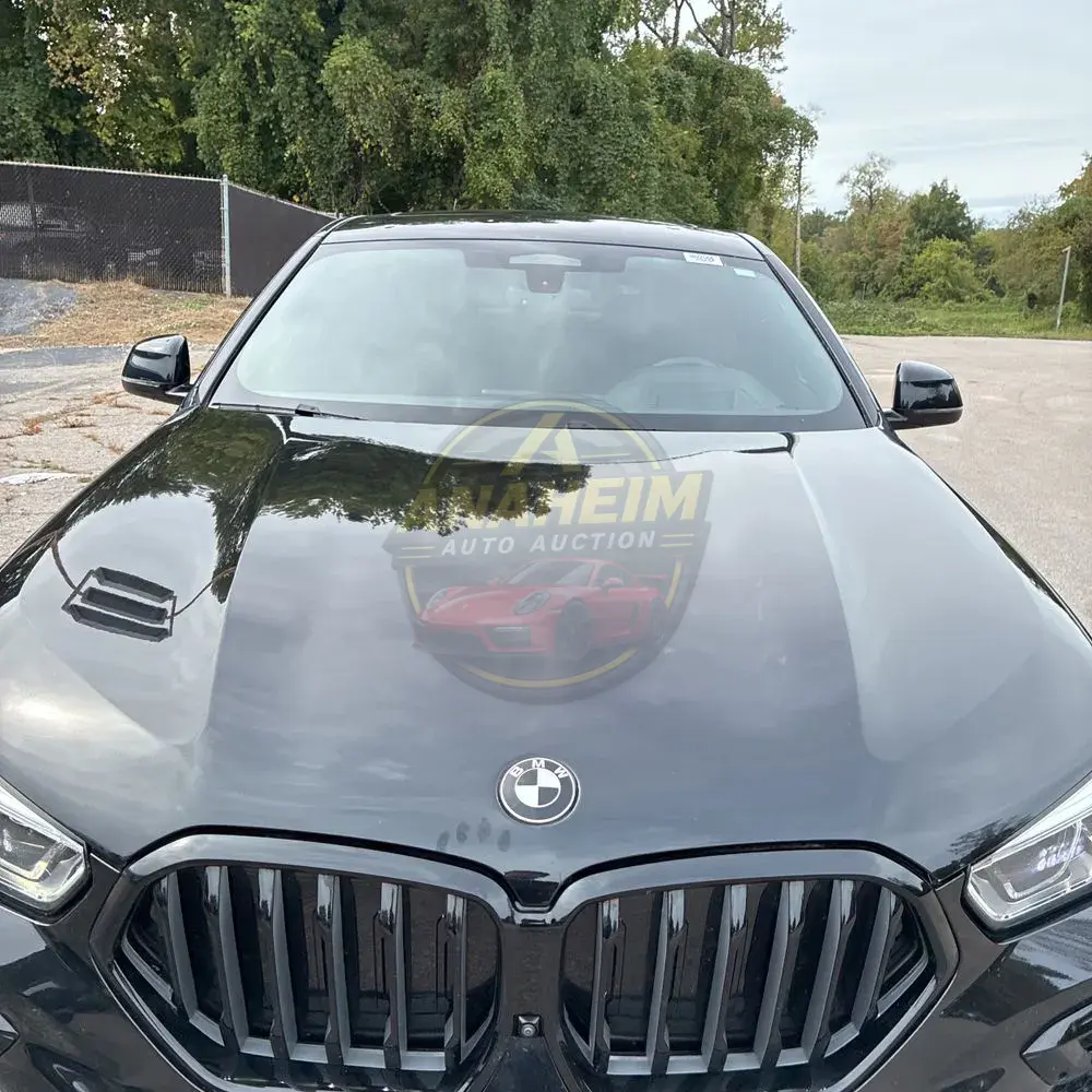 2022 BMW X6 M50i