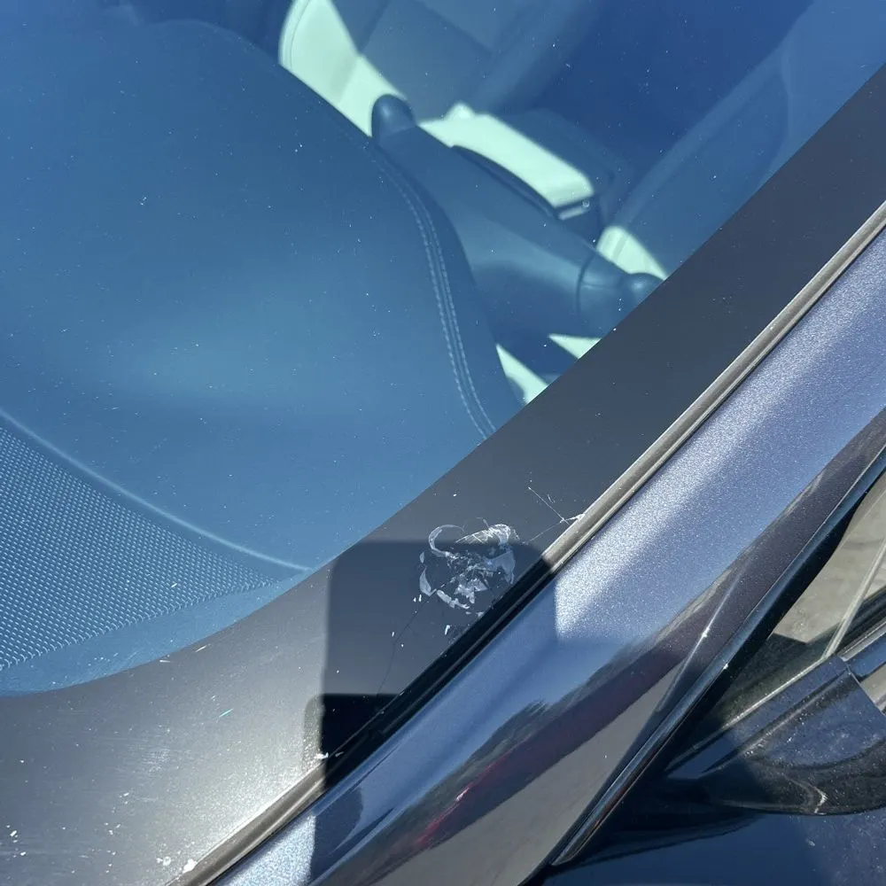 2022 Tesla Model S Plaid