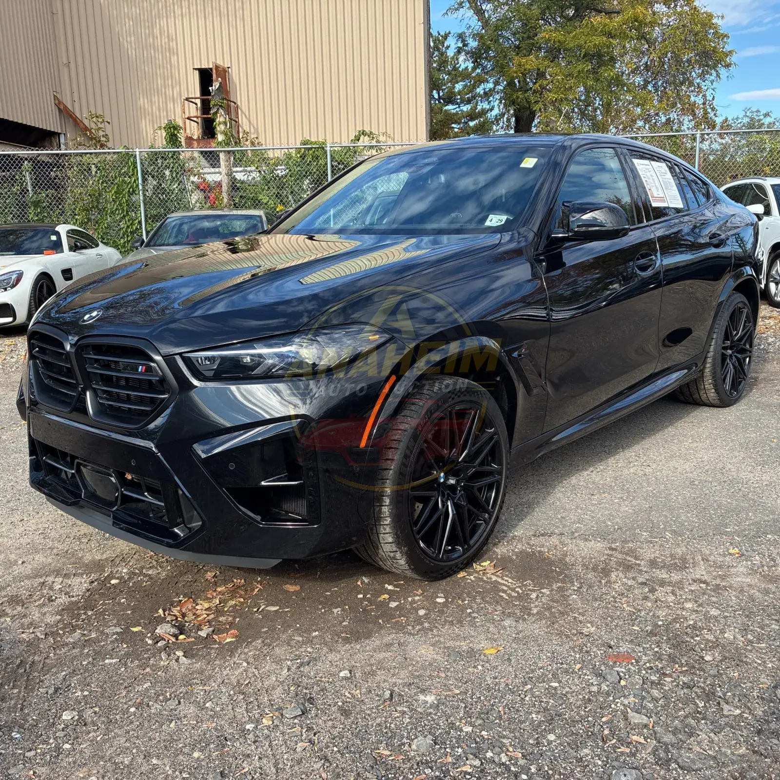 2025 BMW X6 M Competition