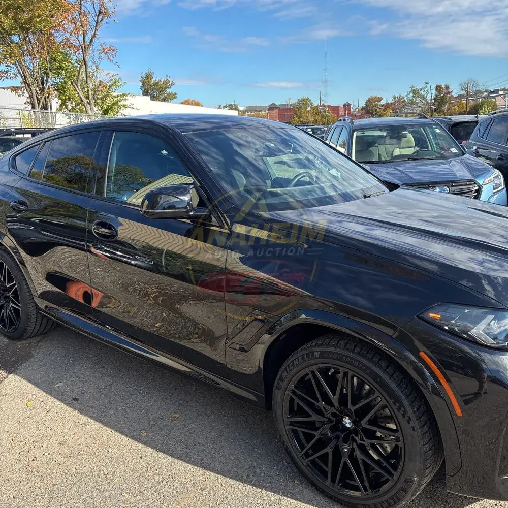 2025 BMW X6 M Competition