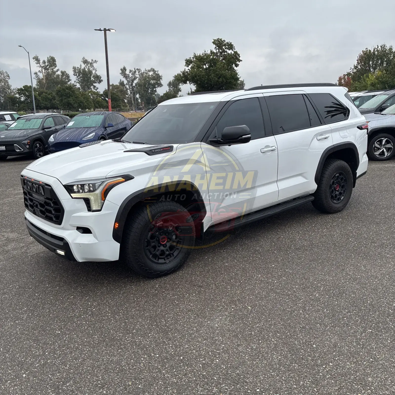 2025 Toyota Sequoia TRD Pro