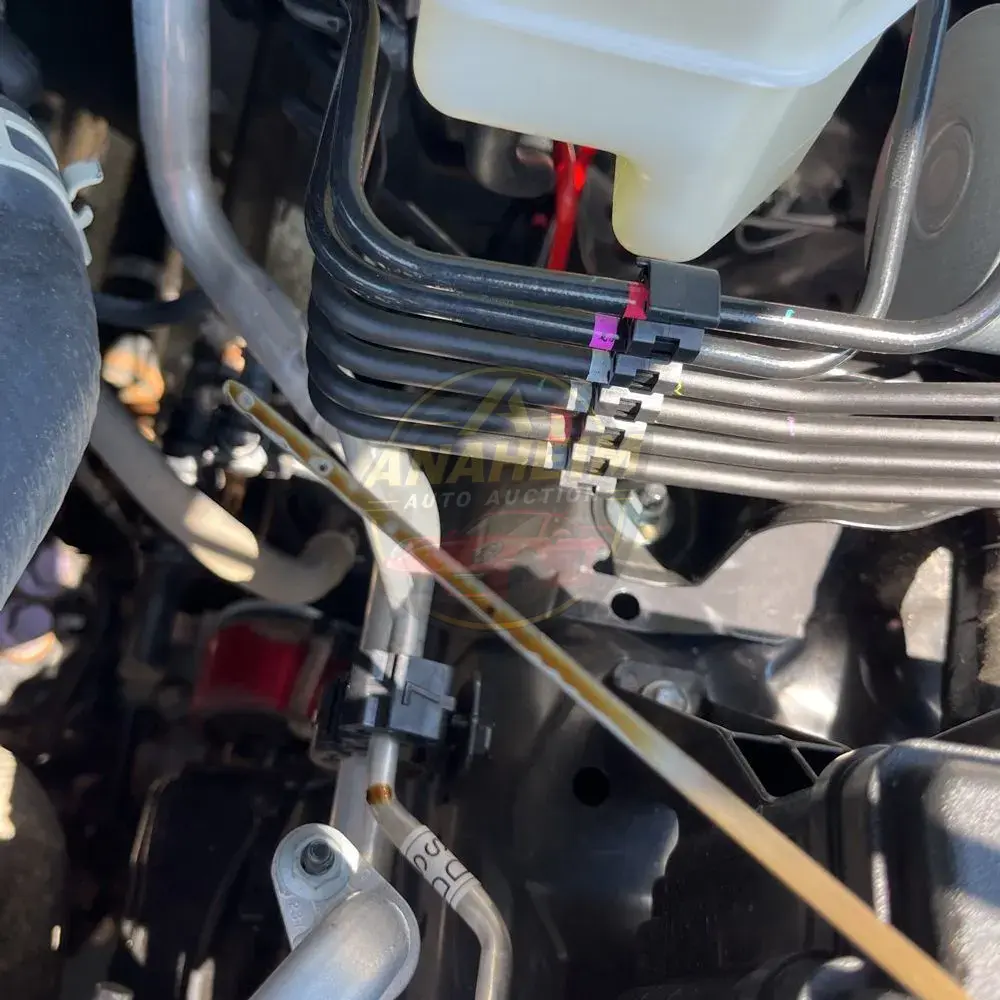 2025 Toyota 4Runner TRD Pro HV
