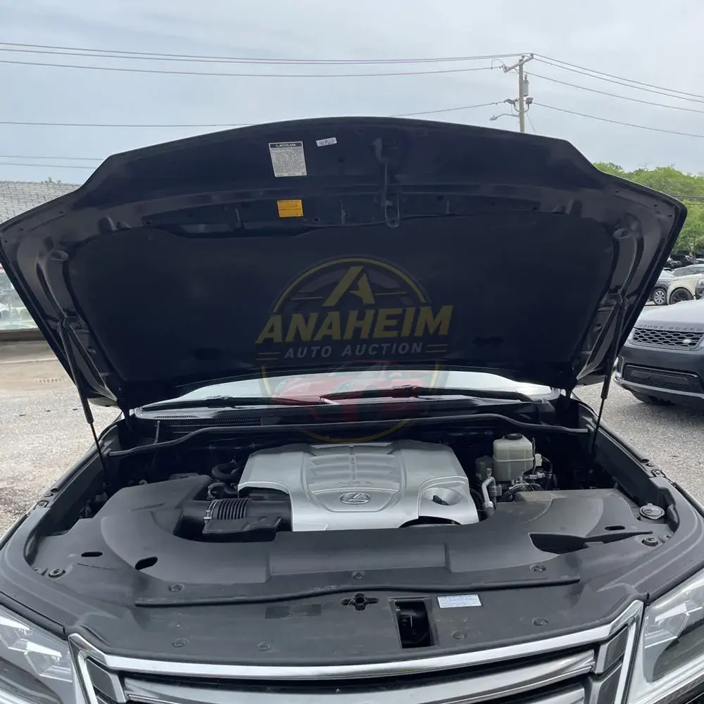 2020 Lexus LX 570 Two-Row