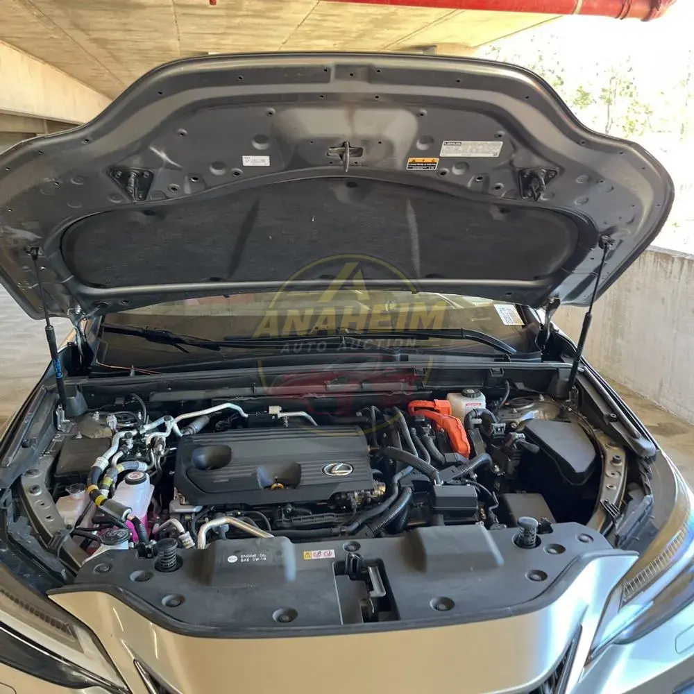 2024 Lexus NX 450h+ Base