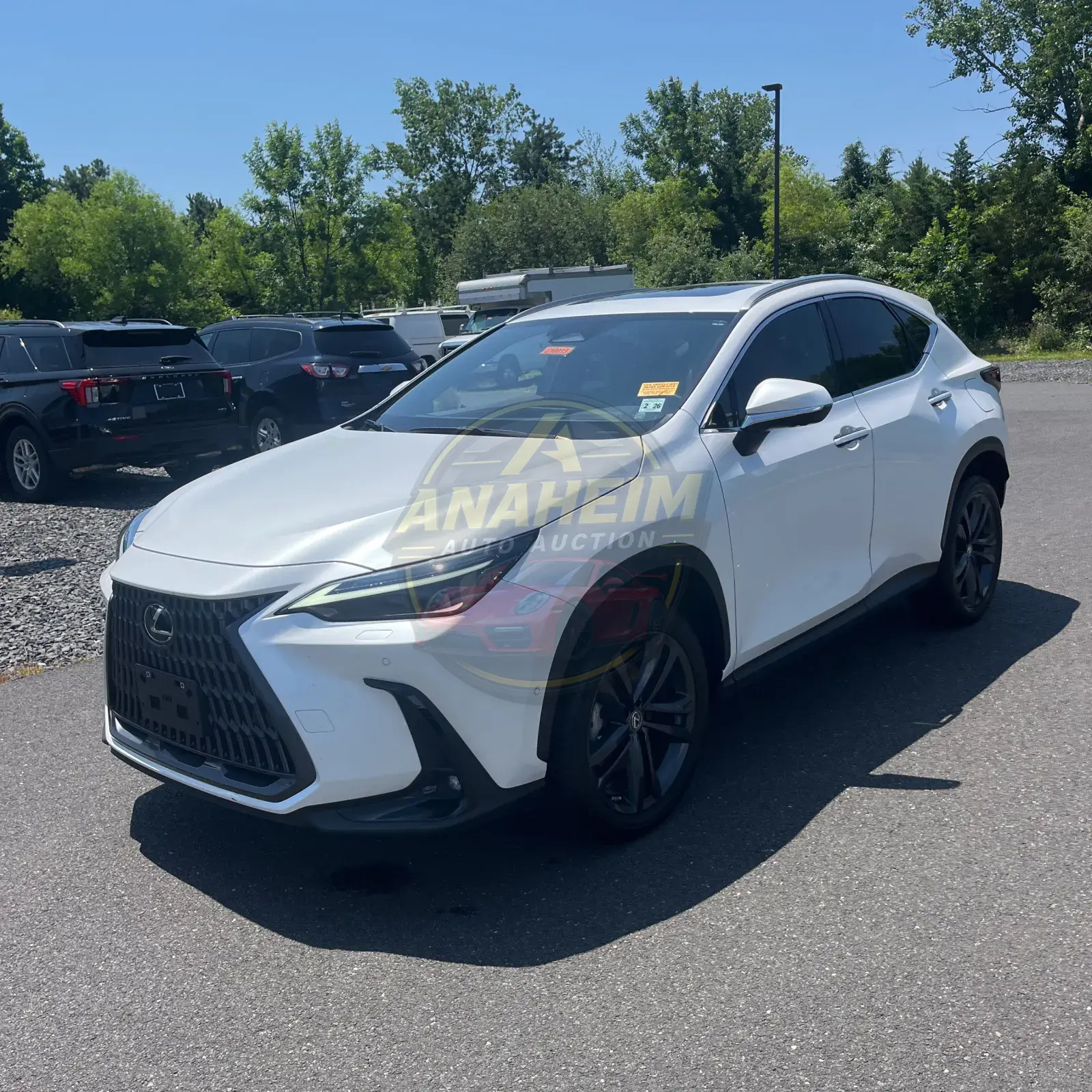 2022 Lexus NX 450h+ Base