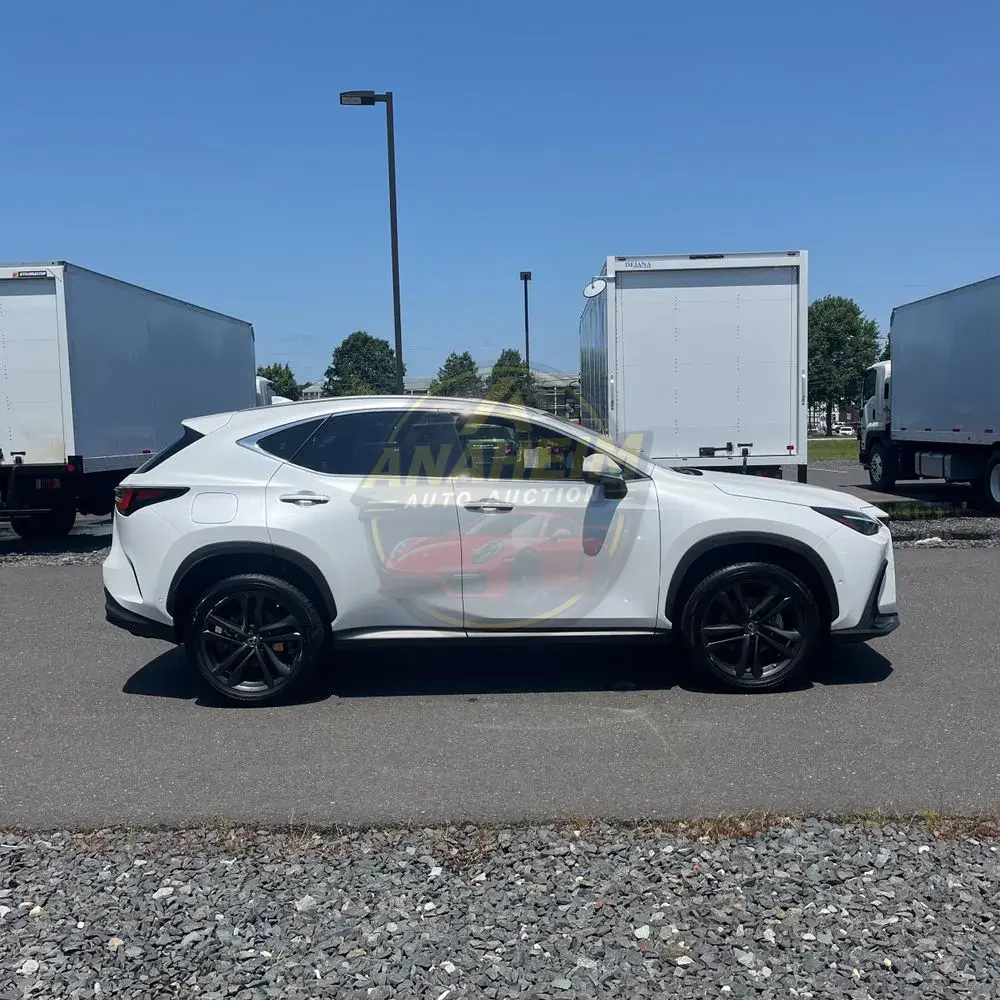 2022 Lexus NX 450h+ Base