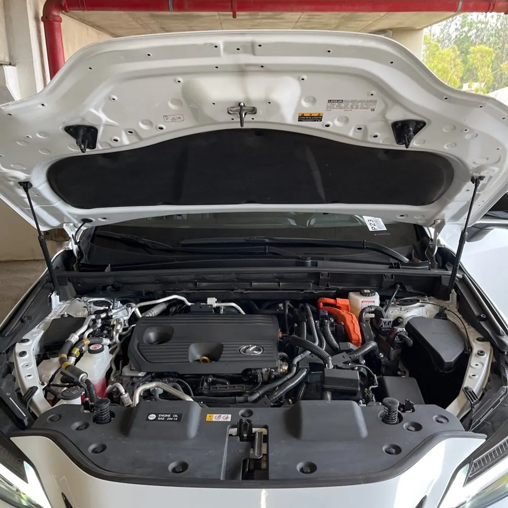 2024 Lexus NX 450h+ F SPORT Handling