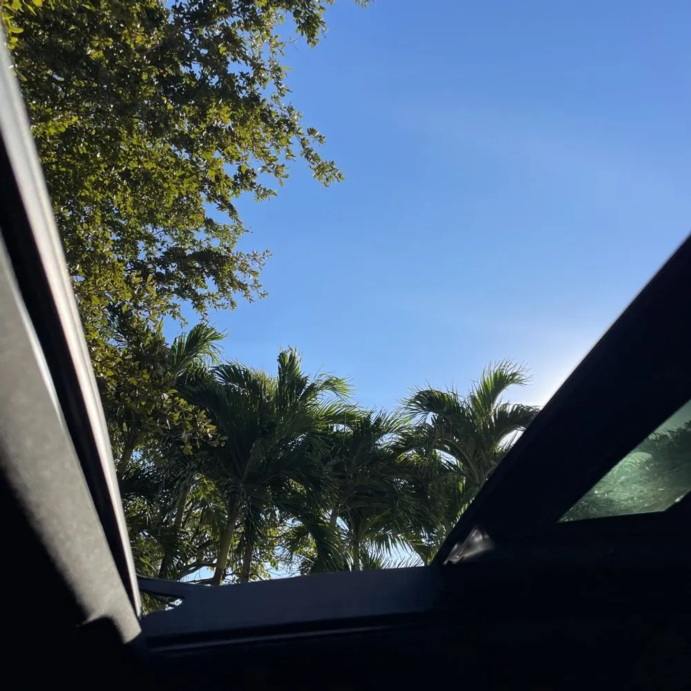 2025 Lexus NX 450h+ F SPORT Handling