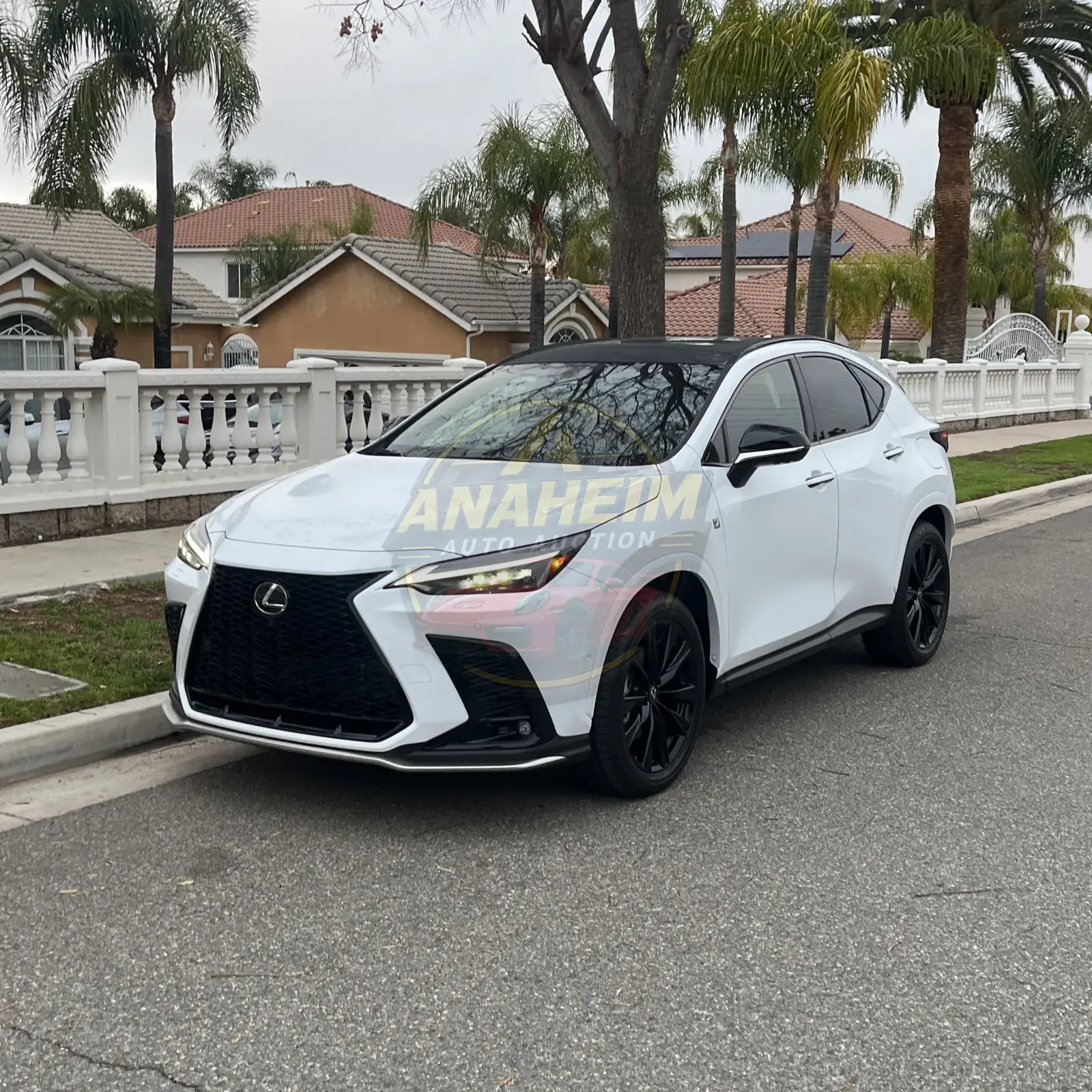 2025 Lexus NX 450h+ F SPORT Handling