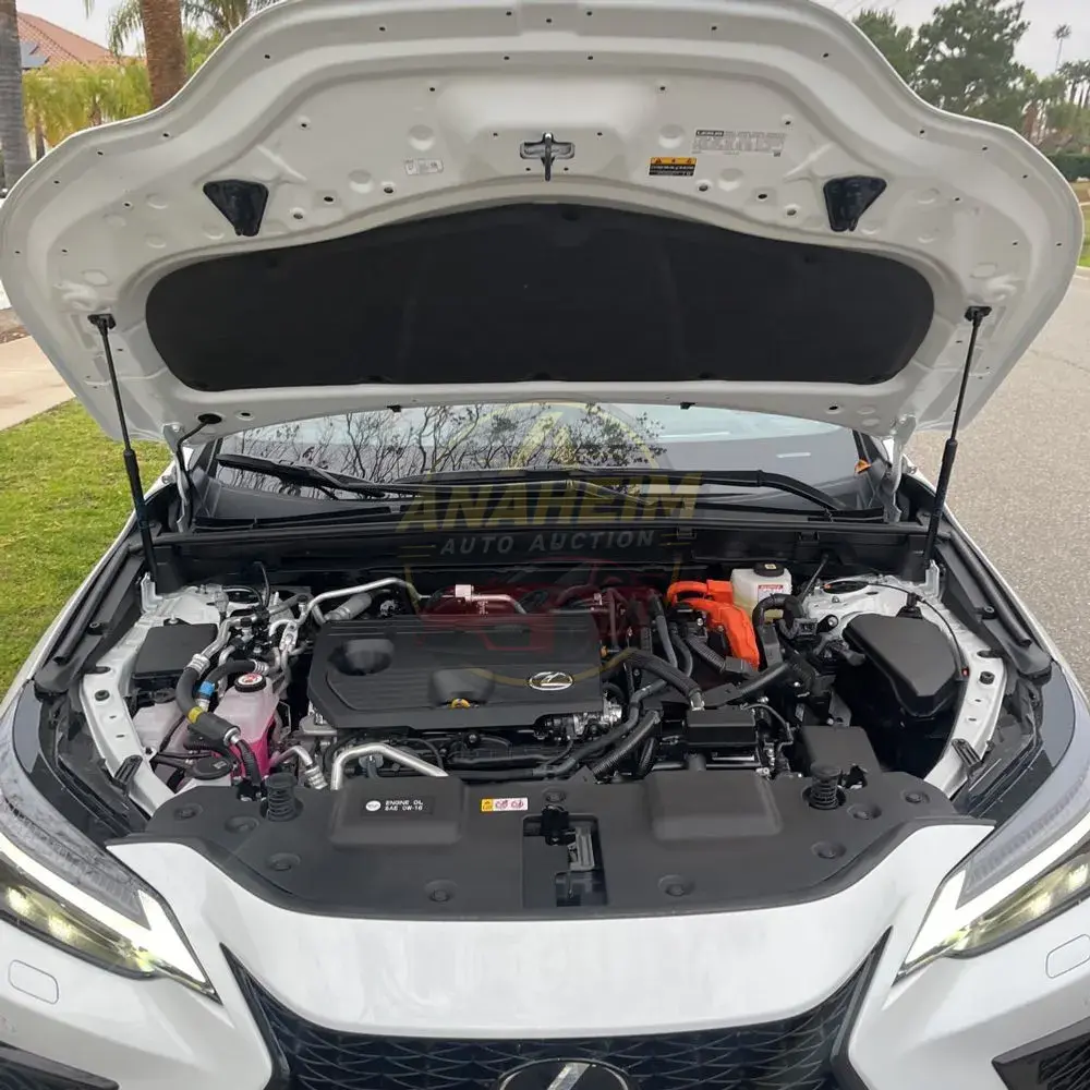 2025 Lexus NX 450h+ F SPORT Handling