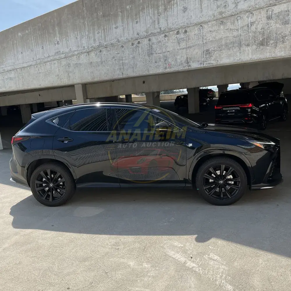 2024 Lexus NX 450h+ F SPORT Handling