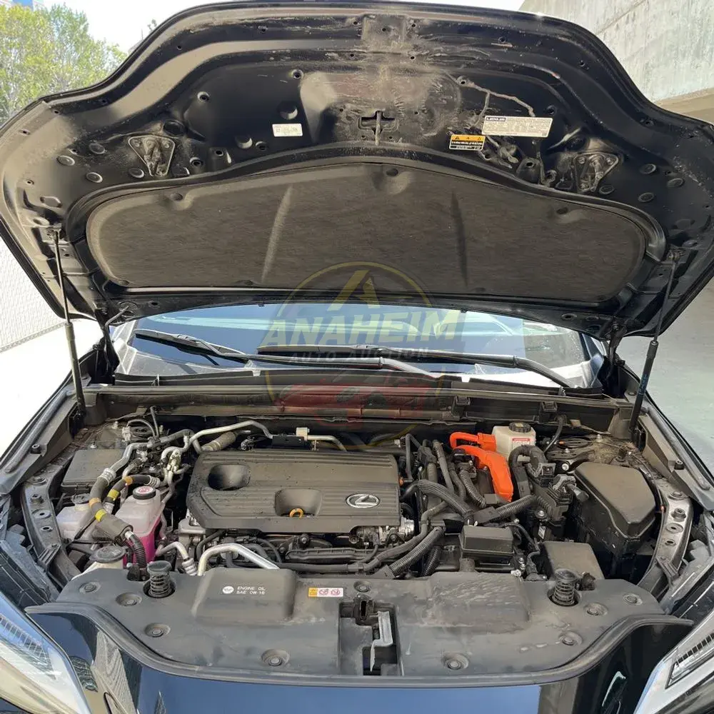 2024 Lexus NX 450h+ F SPORT Handling