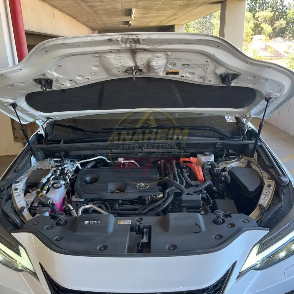 2024 Lexus NX 450h+ F SPORT Handling