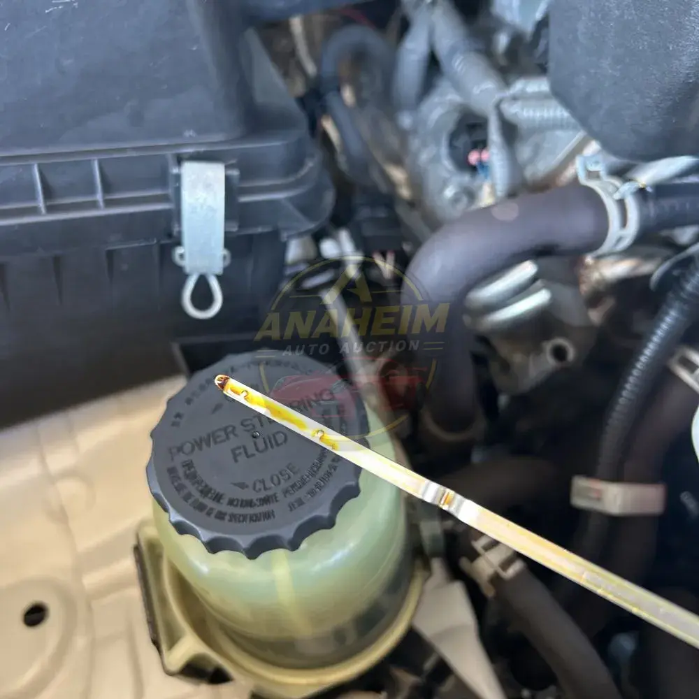 2019 Toyota Land Cruiser Base