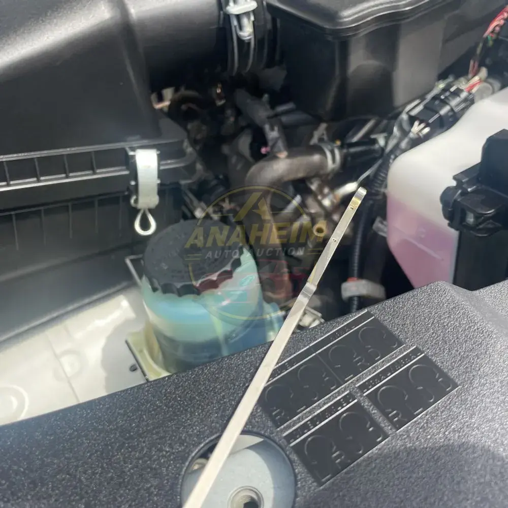 2019 Toyota Land Cruiser Base
