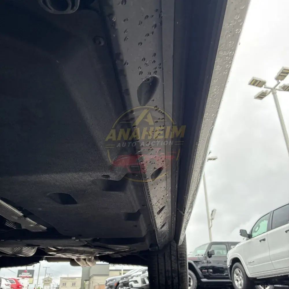 2025 Audi Q8 Premium Plus 55