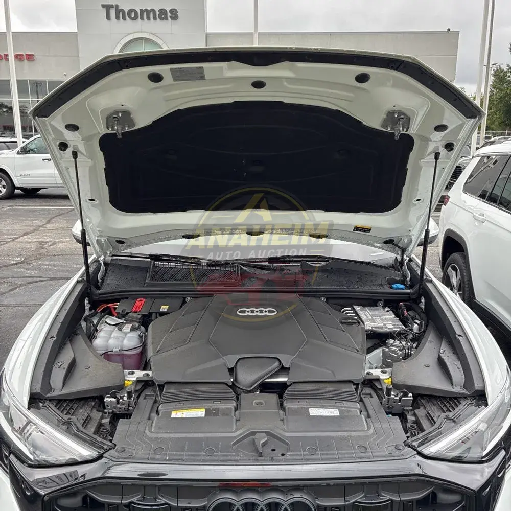 2025 Audi Q8 Premium Plus 55