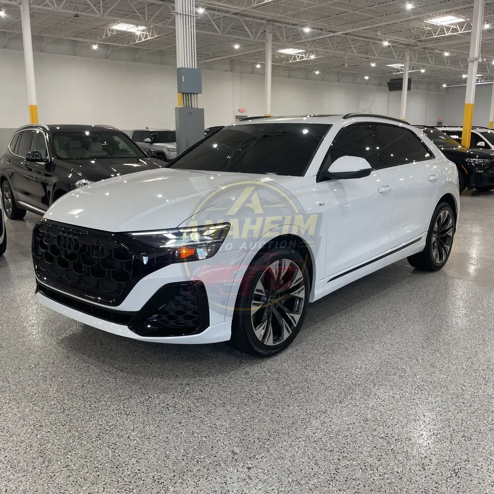 2025 Audi Q8 Prestige 55
