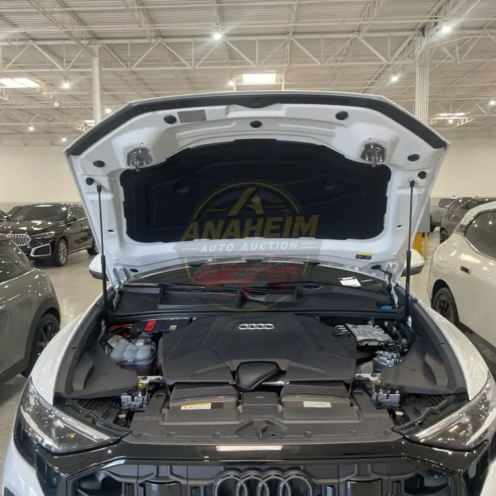 2025 Audi Q8 Prestige 55