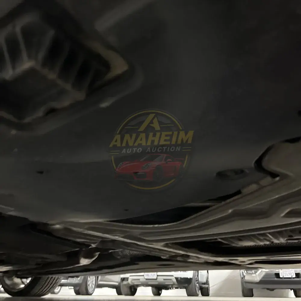 2019 BMW 8-Series M850xi