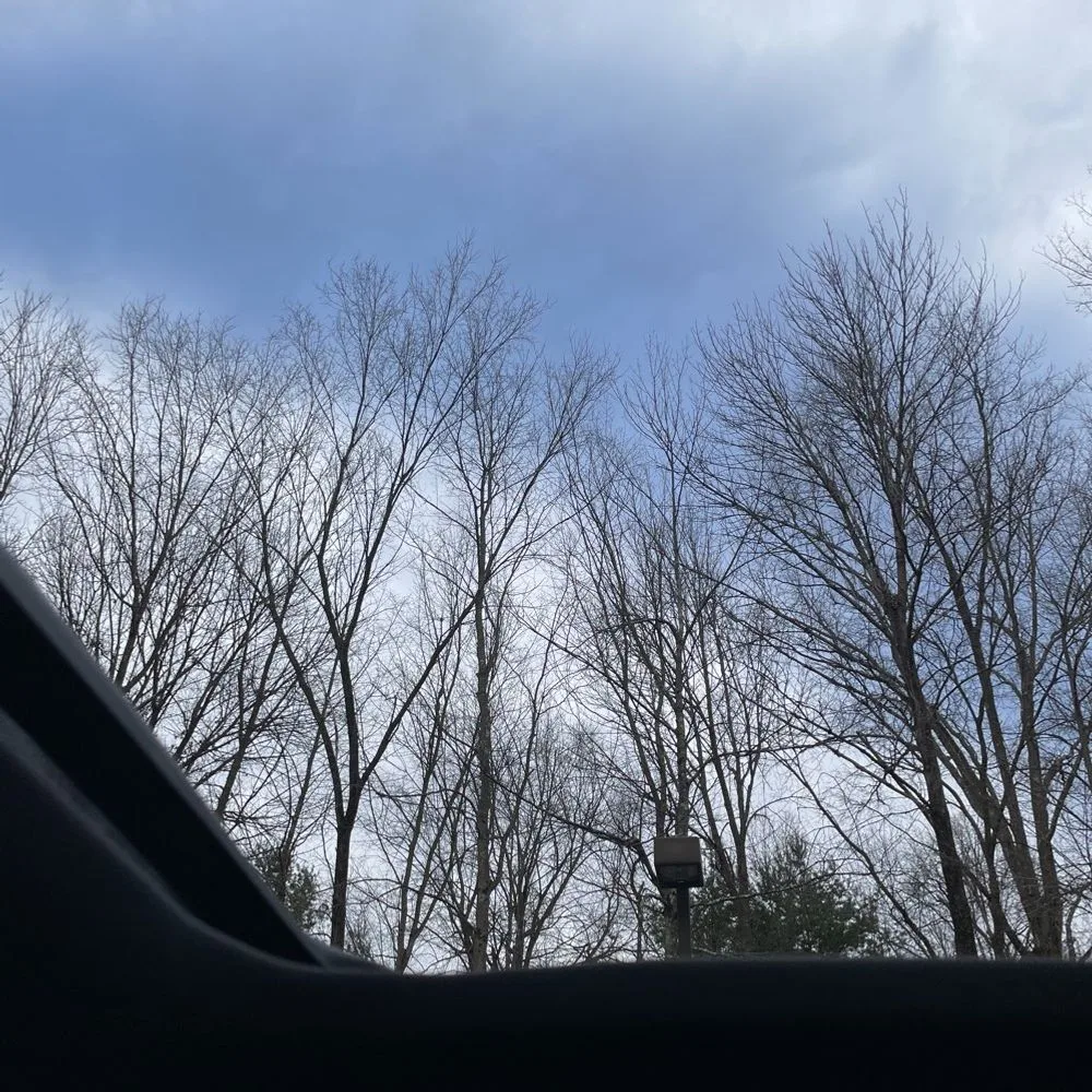 2025 Porsche 911 Carrera